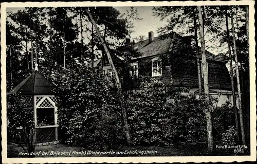 Ak Kersdorf Briesen in der Mark, Wald, Erholungsheim