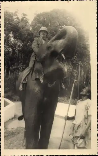 Foto Ak Kandy Sri Lanka Ceylon, Maheweli-Fluss, Katugastota, Elefant, Indien-Reise, September 1938