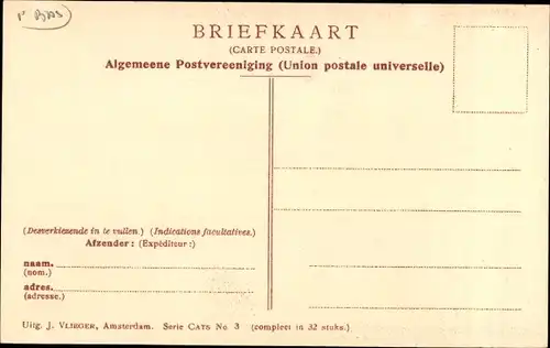 Passepartout Ak Niederlande, Mann von Gänsen angegriffen