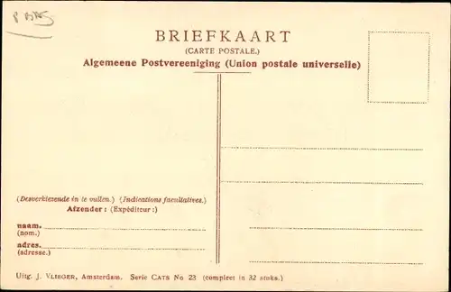 Passepartout Ak Niederlande, Kutsche, Hunde, Pferde