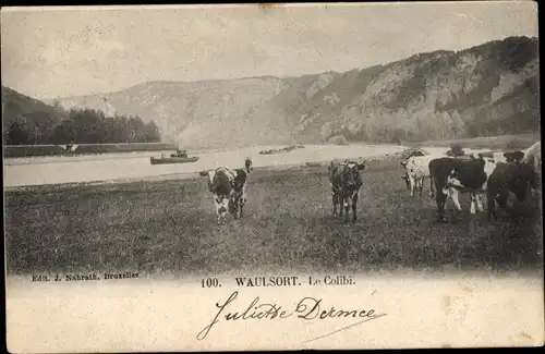 Ak Waulsort Hastière Wallonie Namur, Le Colibi