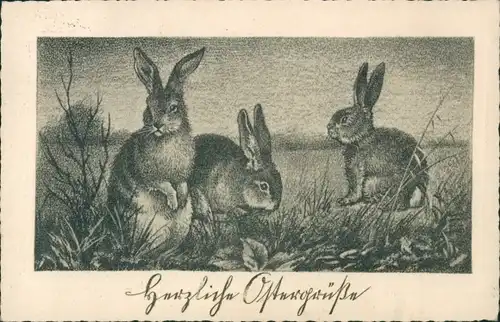 Ak Glückwunsch Ostern, Hasen auf der Wiese