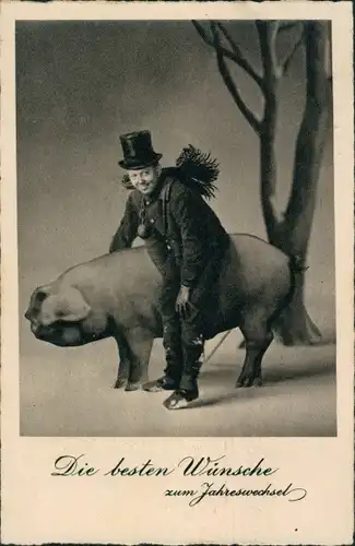 Ak Glückwunsch Neujahr, Schornsteinfeger, Schwein