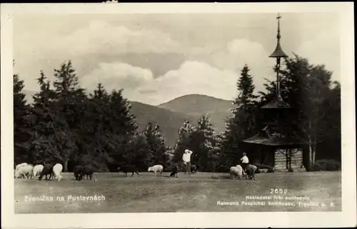 Ak Rožnov pod Radhoštěm Rosenau unter Radhost Region Zlin, Schafe weiden