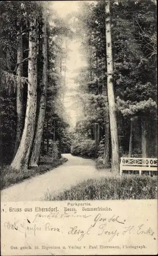 Ak Ebersdorf in Thüringen, Park