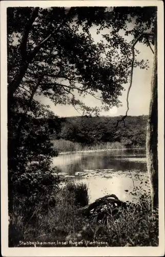 Ak Stubbenkammer Sassnitz auf Rügen, Herthasee