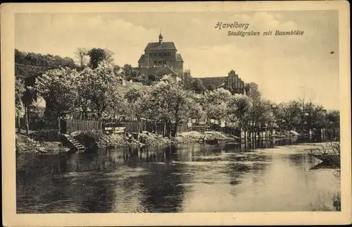 Ak Havelberg in Sachsen Anhalt, Stadtgraben, Baumblüte