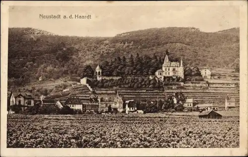 Ak Neustadt an der Haardt Neustadt an der Weinstraße, Ortsansicht