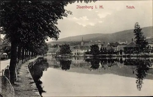 Ak Ilsenburg Harz, Teich, Ortsansicht