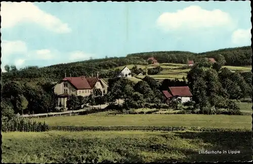 Ak Linderhofe Extertal in Lippe, Panorama