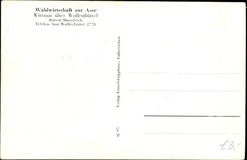 Ak Wittmar in Niedersachsen, Waldwirtschaft zur Asse, Bismarcksäule, Burgruinen