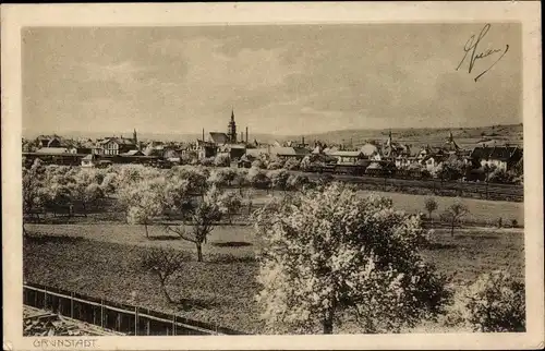 Ak Grünstadt in der Pfalz, Panorama