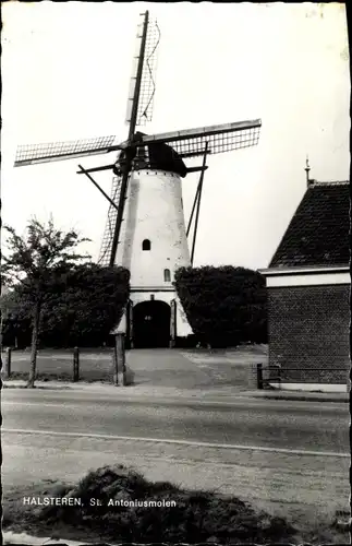 Ak Halsteren Nordbrabant, St. Antonius-Mühle