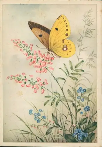 Ak Gelber Schmetterling, Blumen