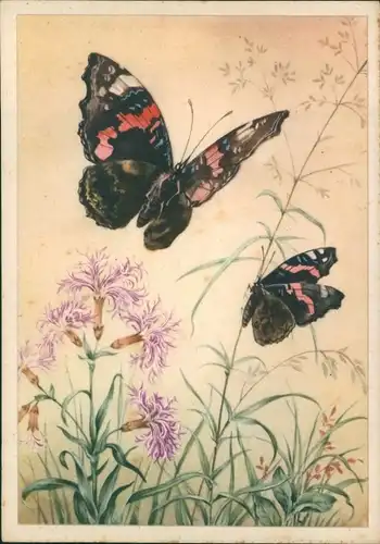 Ak Schmetterlinge, Blumen