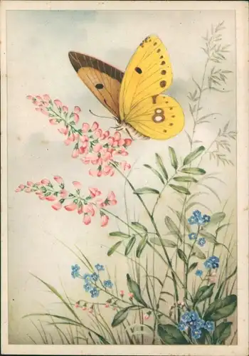 Ak Gelber Schmetterling, Blumen