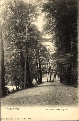 Ak Tervuren Tervueren Flämisch Brabant Flandern, une dreve dans le parc
