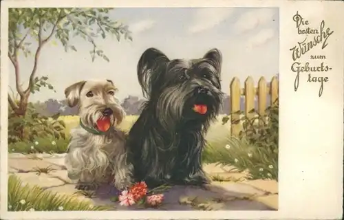 Ak Glückwunsch Geburtstag, Zwei Hunde, Blumen, Zaun, Baum