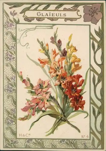 Passepartout Ak Blumenstrauß, Blumen