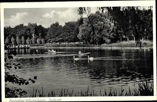 Ak Wilhelmshaven an der Nordsee, Stadtpark, Schwäne