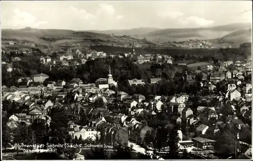 Ak Sebnitz Sächsische Schweiz, Panorama