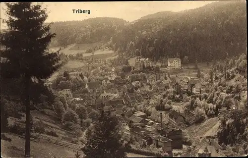 Ak Triberg im Schwarzwald, Panorama