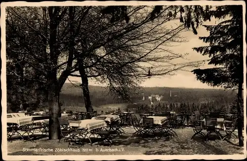 Ak Auerbach im Vogtland Sachsen, Sommerfrische Zöbischhaus, Terrasse