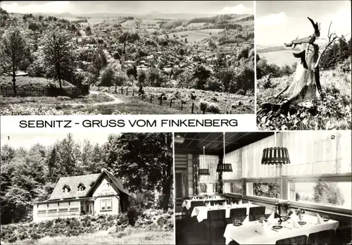 Ak Sebnitz Sächsische Schweiz, Finkenberg, HO-Gaststätte Finkenbaude, Panorama