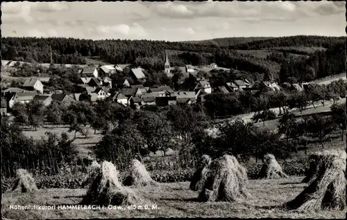 Ak Hammelbach Grasellenbach Odenwald, Panorama