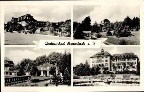 Ak Bad Brambach im Vogtland, Park, Teich, Teilansichten