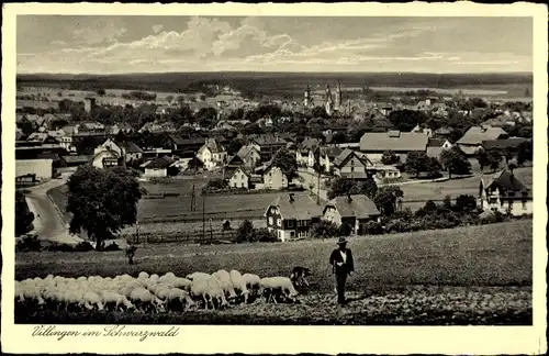 Ak Villingen im Schwarzwald, Gesamtansicht, Schafe