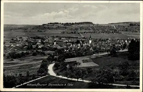 Ak Stammheim Calw im Schwarzwald, Gesamtansicht
