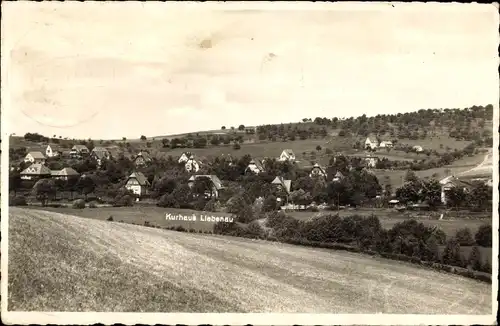 Ak Waldenbuch in Württemberg, Gesamtansicht, Kurhaus Liebenau