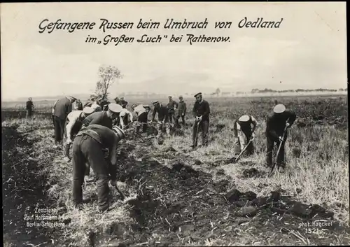 Ak Rathenow im Havelland, Kriegsgefangene Russen beim Umbruch von Öedland, Großer Luch