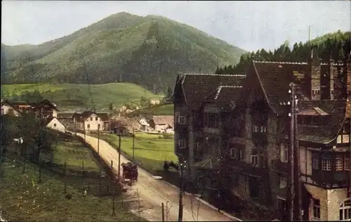 Ak Steinhaus am Semmering Steiermark, Teilansicht