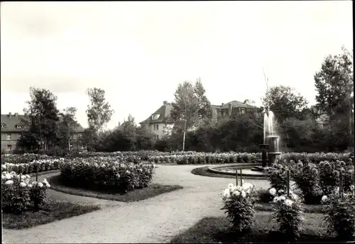 Ak Gera in Thüringen, Im Dahliengarten, Springbrunnen