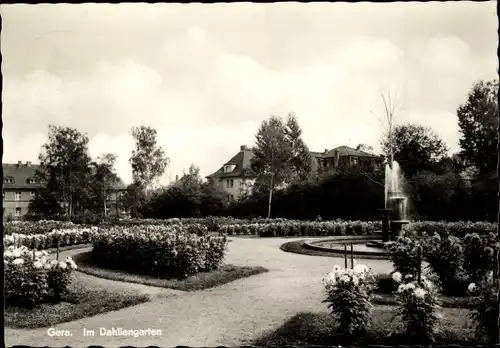 Ak Gera in Thüringen, Im Dahliengarten, Springbrunnen