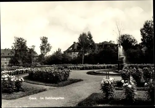 Ak Gera in Thüringen, Im Dahliengarten, Springbrunnen