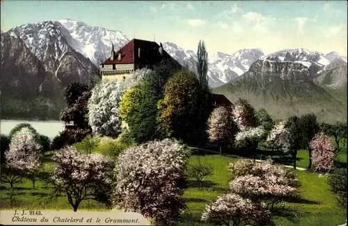 Postkarte Montreux Kanton Waadt Schweiz, Château du Châtelard, Grammont