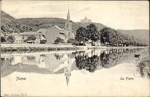 Wallonisch Ak Namur, Die Pflanze