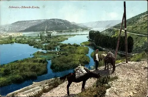 Ak Šibenik Sebenico Kroatien, Panorama, Fluss und Berge, Pferde, Purger 8344