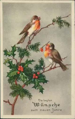 Ak Glückwunsch Neujahr, Vögel am Baum, Stechpalme