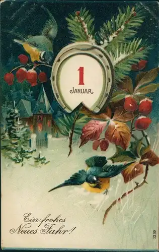 Präge Ak Glückwunsch Neujahr, Meisen, Hufeisen, Tannenbaum