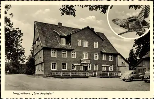 Ak Hahnenklee Bockswiese Goslar im Harz, Berggasthaus zum Auerhahn