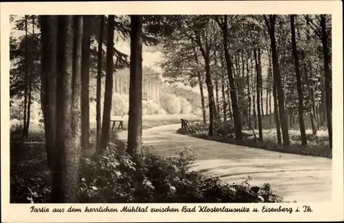 Ak Eisenberg in Thüringen, Mühltal, Waldweg
