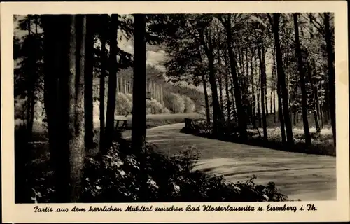 Ak Eisenberg in Thüringen, Mühltal, Waldweg
