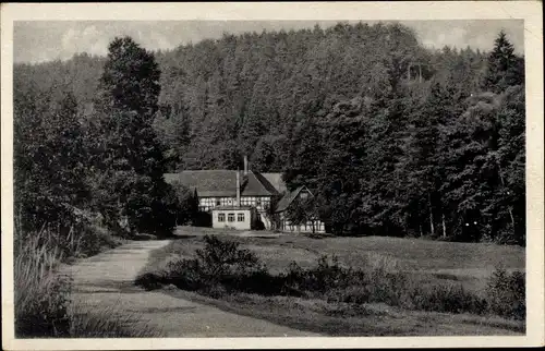 Ak Eisenberg in Thüringen, Mühltal, Froschmühle