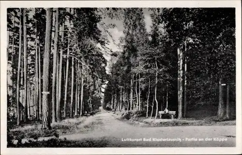 Ak Bad Klosterlausnitz in Thüringen, An der Köppe