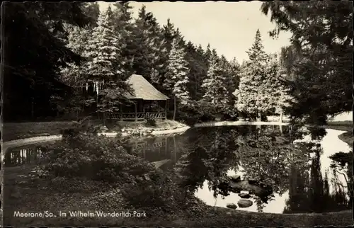 Ak Meerane in Sachsen, Wilhelm-Wunderlich Park