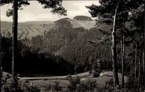 Ak Wurzbach in Thüringen, Waldblick nach Sormitzgrund